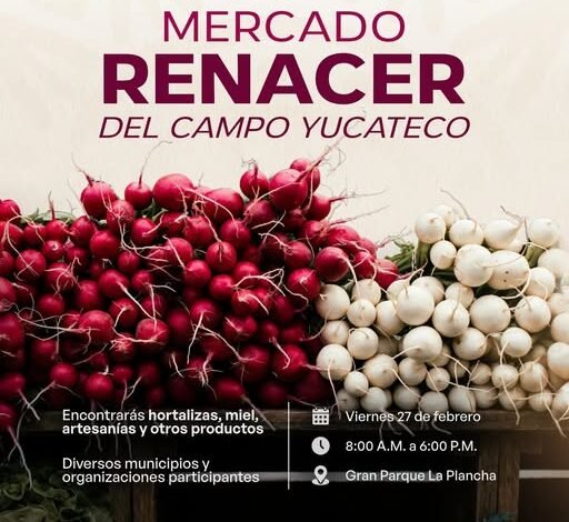 Productores locales te esperan en la plancha