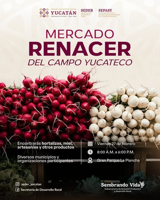 Productores locales te esperan en la plancha