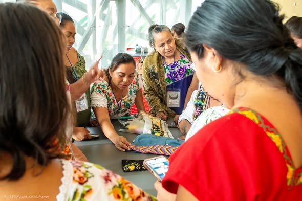 Microcréditos impulsan a la economía popular