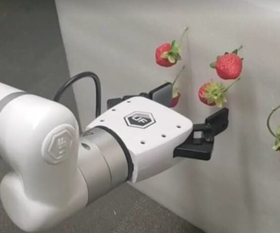 Yucatán fortalece diálogo científico