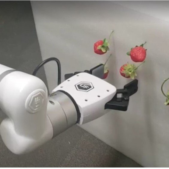 Yucatán fortalece diálogo científico