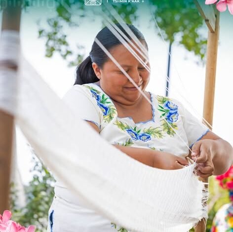 El Sureste te espera: vive la experiencia del Tren Maya