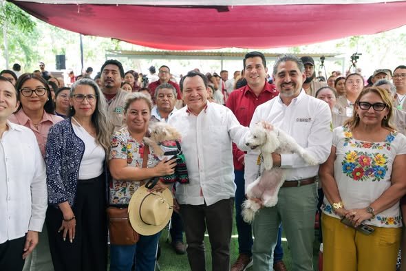 VACUNAS Y ESTERILIZACIONES GRATIS PARA PERROS Y GATOS EN YUCATÁN