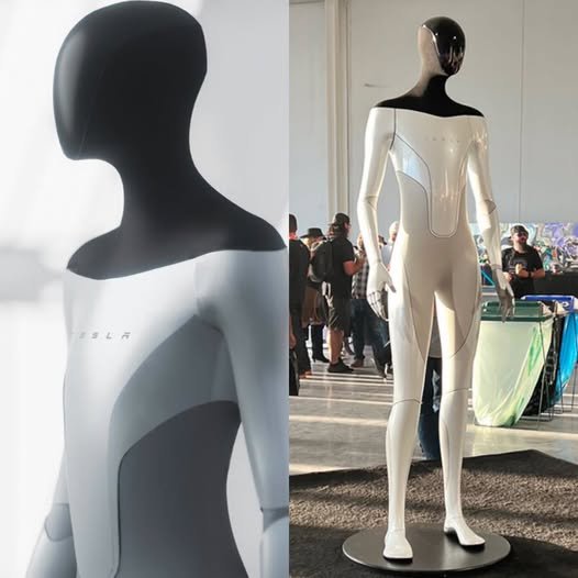 ¿TE IMAGINAS LLEGAR A CASA Y QUE EL ROBOT YA HIZO TODO?